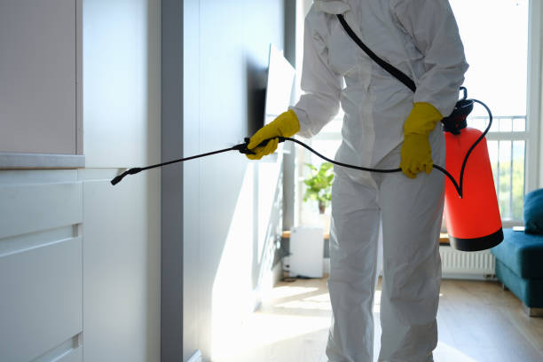 Best Crawl Space Mold Remediation in Lecanto, FL
