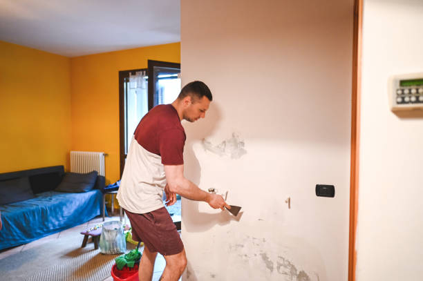 Best Health and Safety Mold Remediation in Lecanto, FL